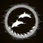 Black Dolphine