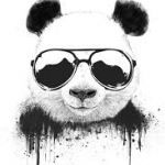 Panda City - logotip, jamoa logotipi, rasm, klub tasviri