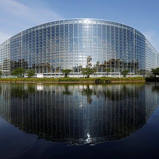 Европарламенте, Катаре, Кайли, Международной
