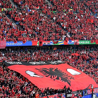 УЕФА оштрафовал сборные Албании и Сербии по итогам матчей на Евро-2024 Албании, Сербии, Евро