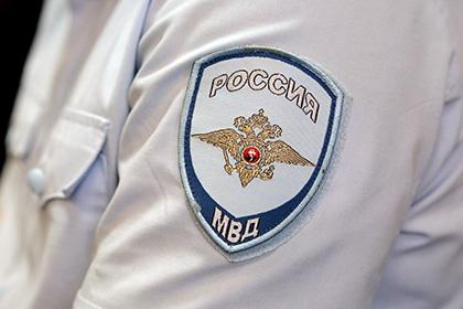 России, Евро, Волк, Франции, Марселе