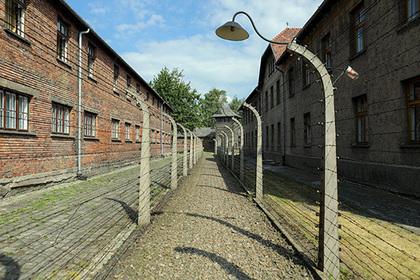 Итальянских фанатов отправят в концлагерь Лацио, Аушвиц, Лотито